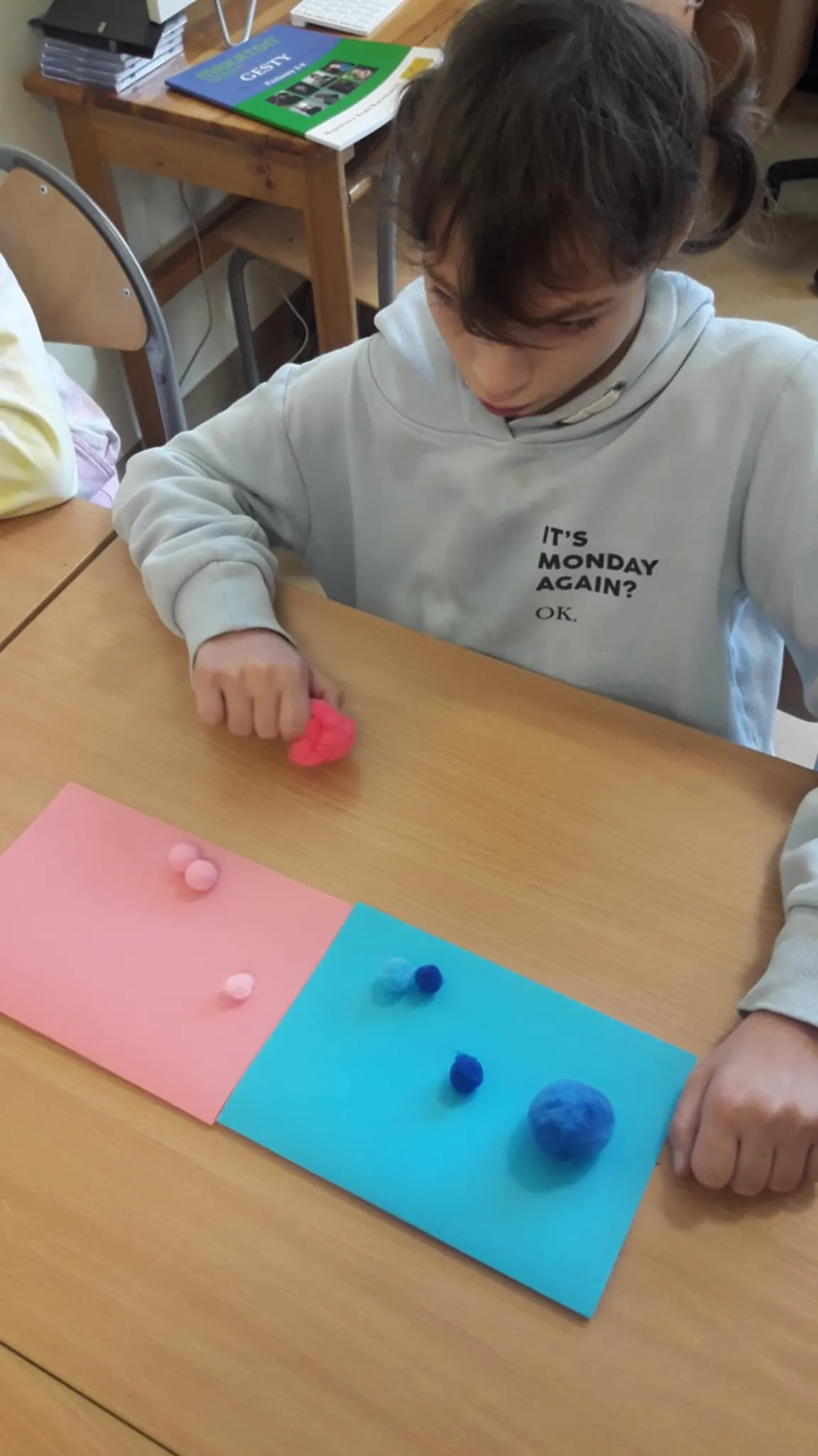 Zajęcia rewalidacyjne