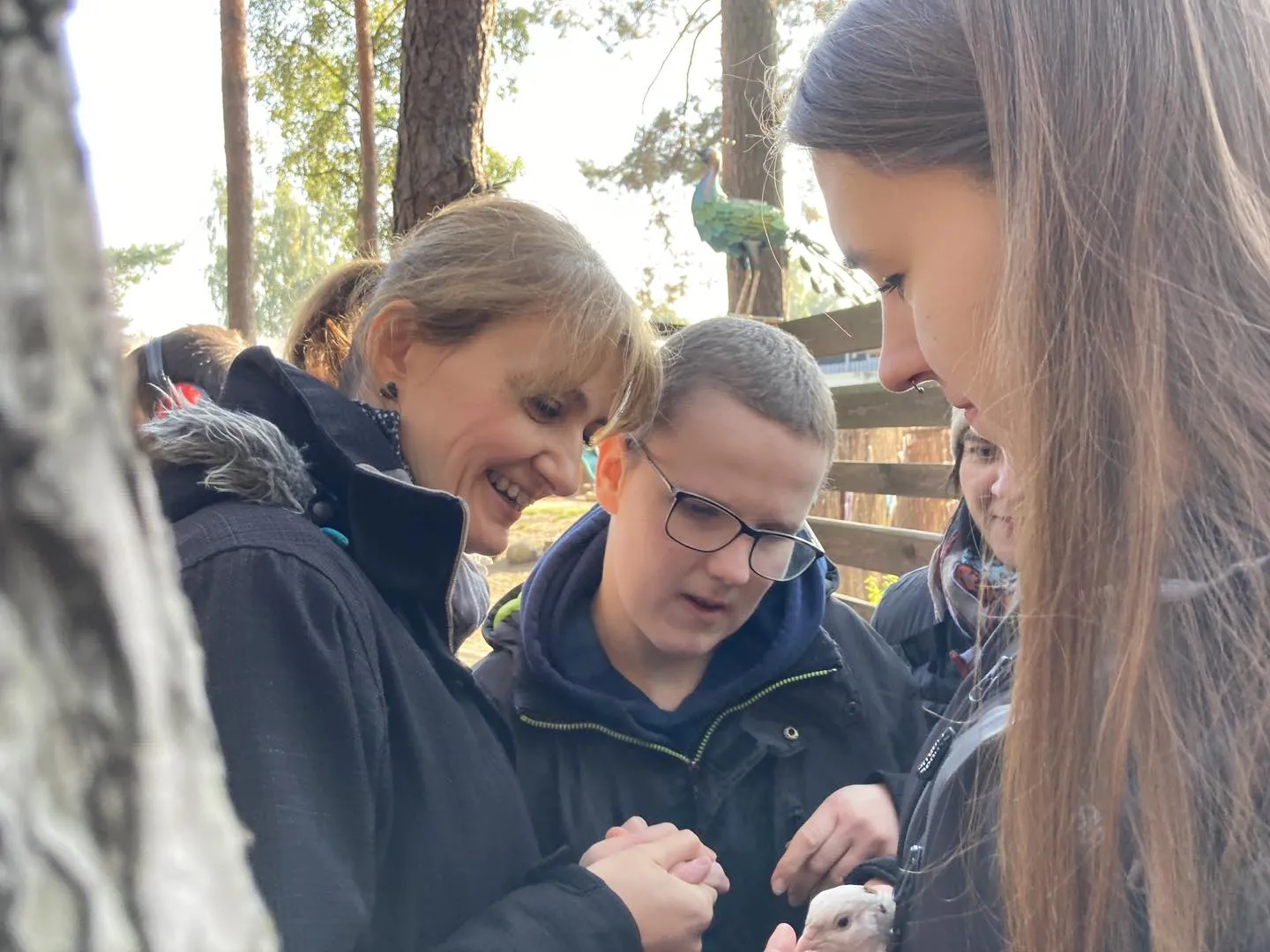 Spotkanie z alpakami