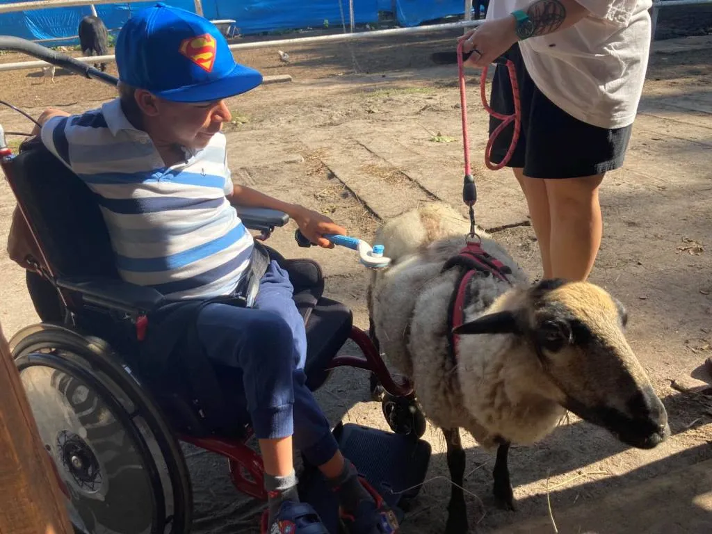 Wizyta w stajni i warsztaty plastyczne