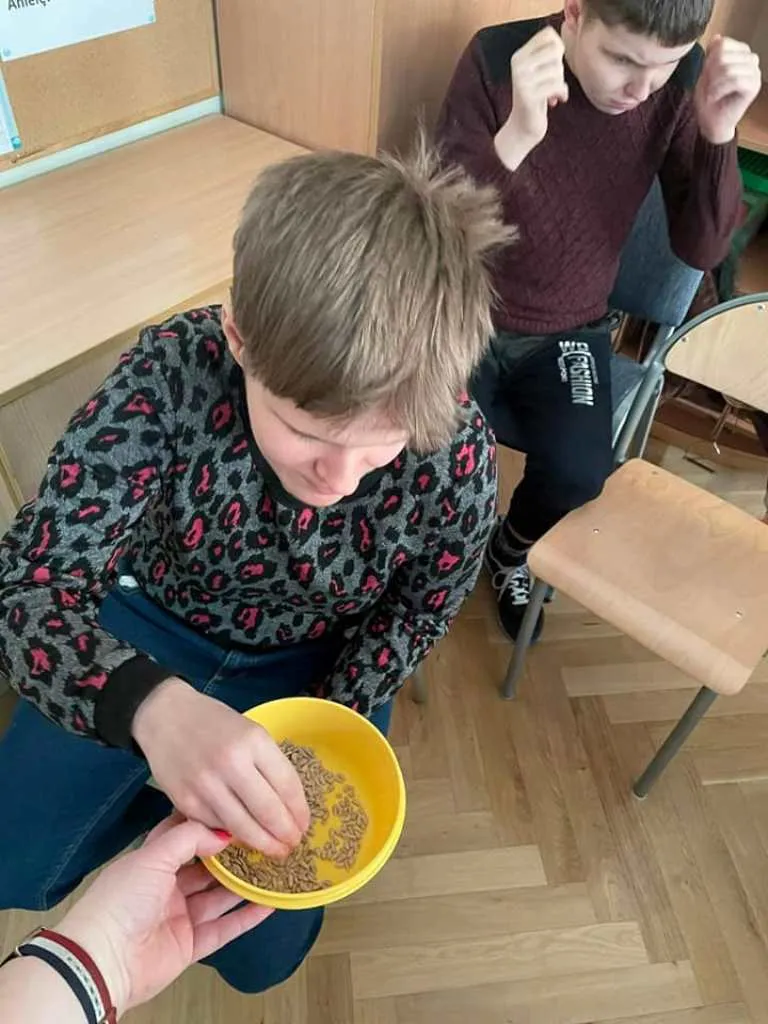 Dokarmiamy ptaki zimą