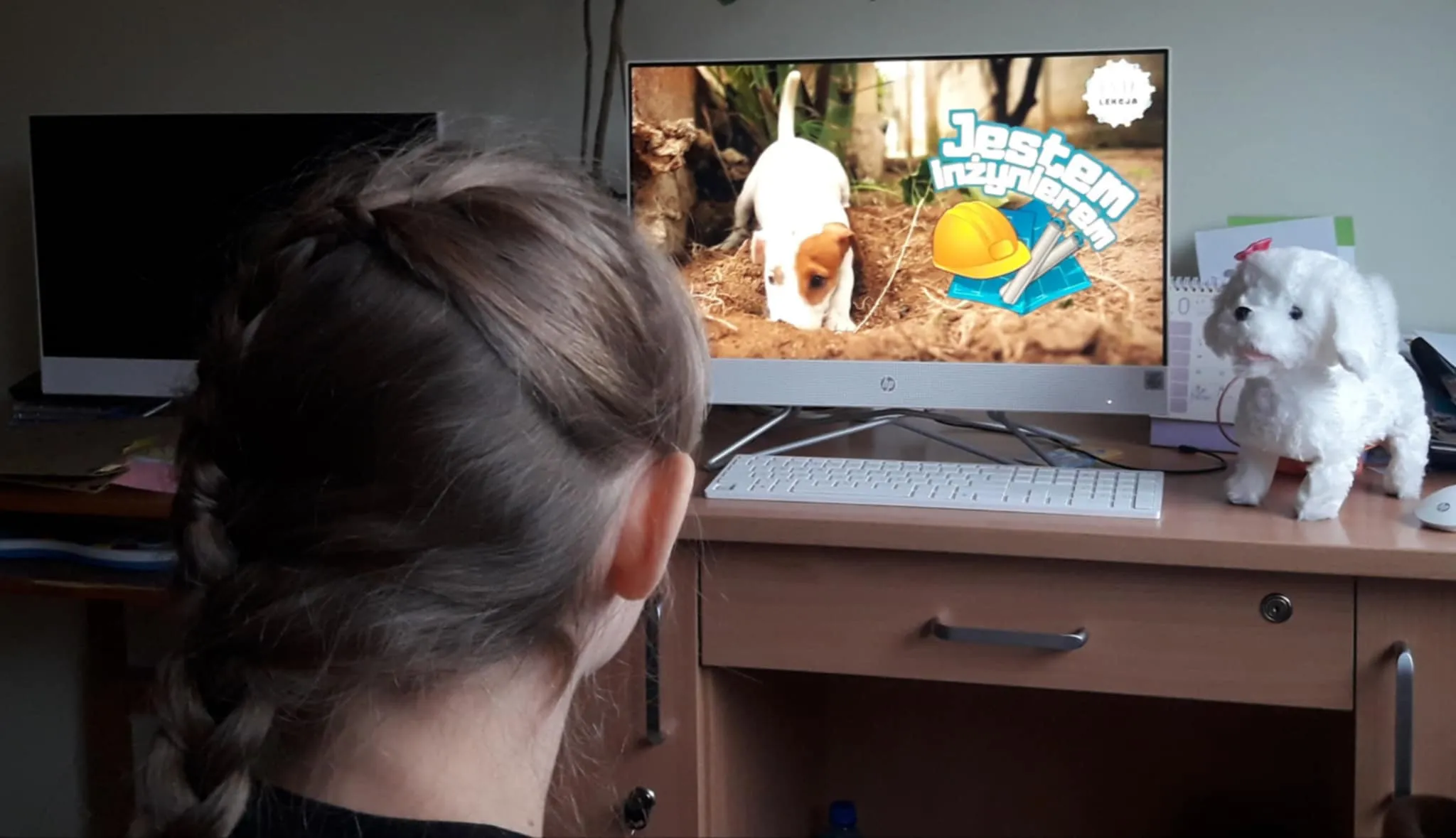 Ogólnopolski program “Psia lekcja”