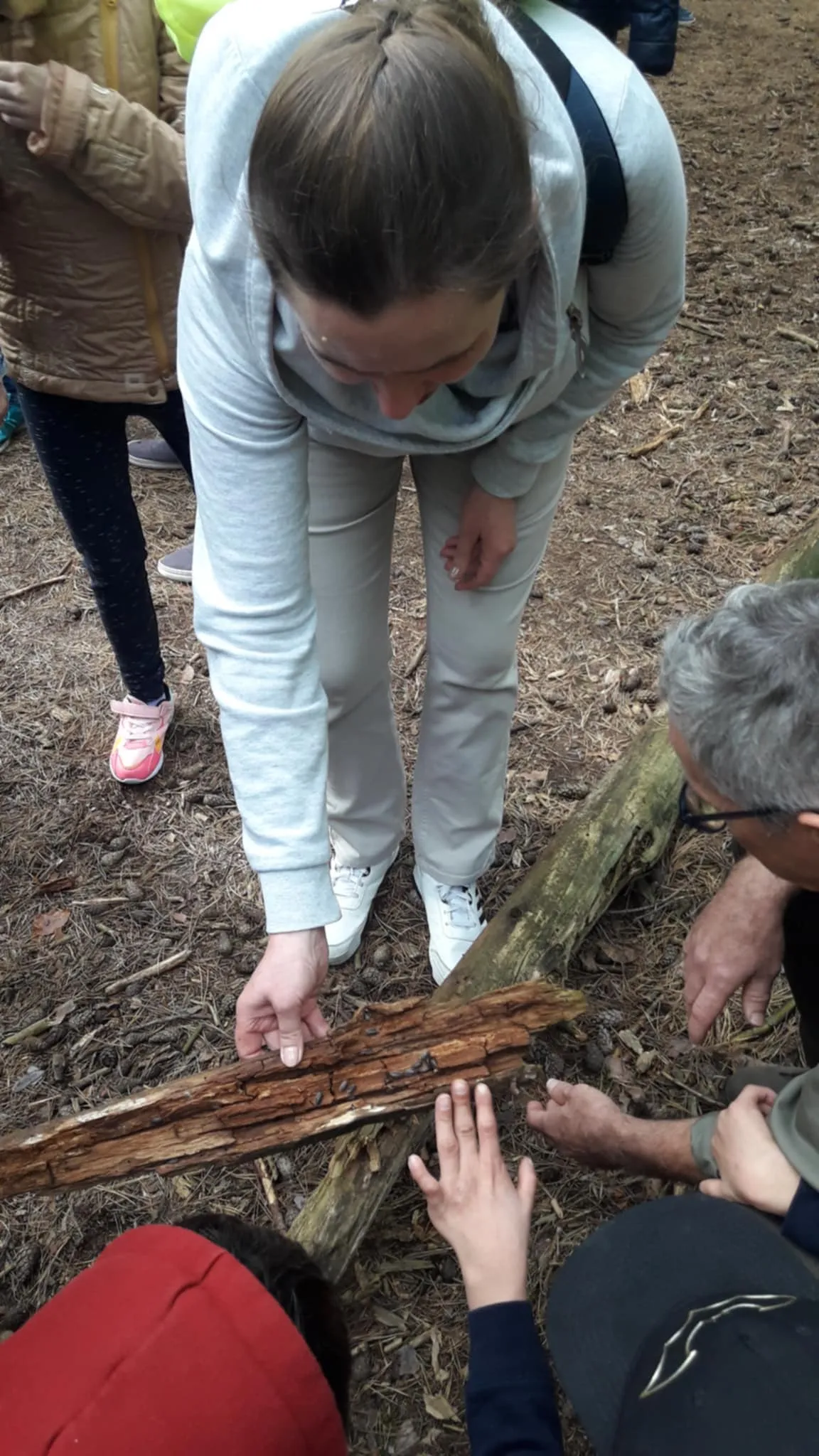 Światowy Dzień Drzewa