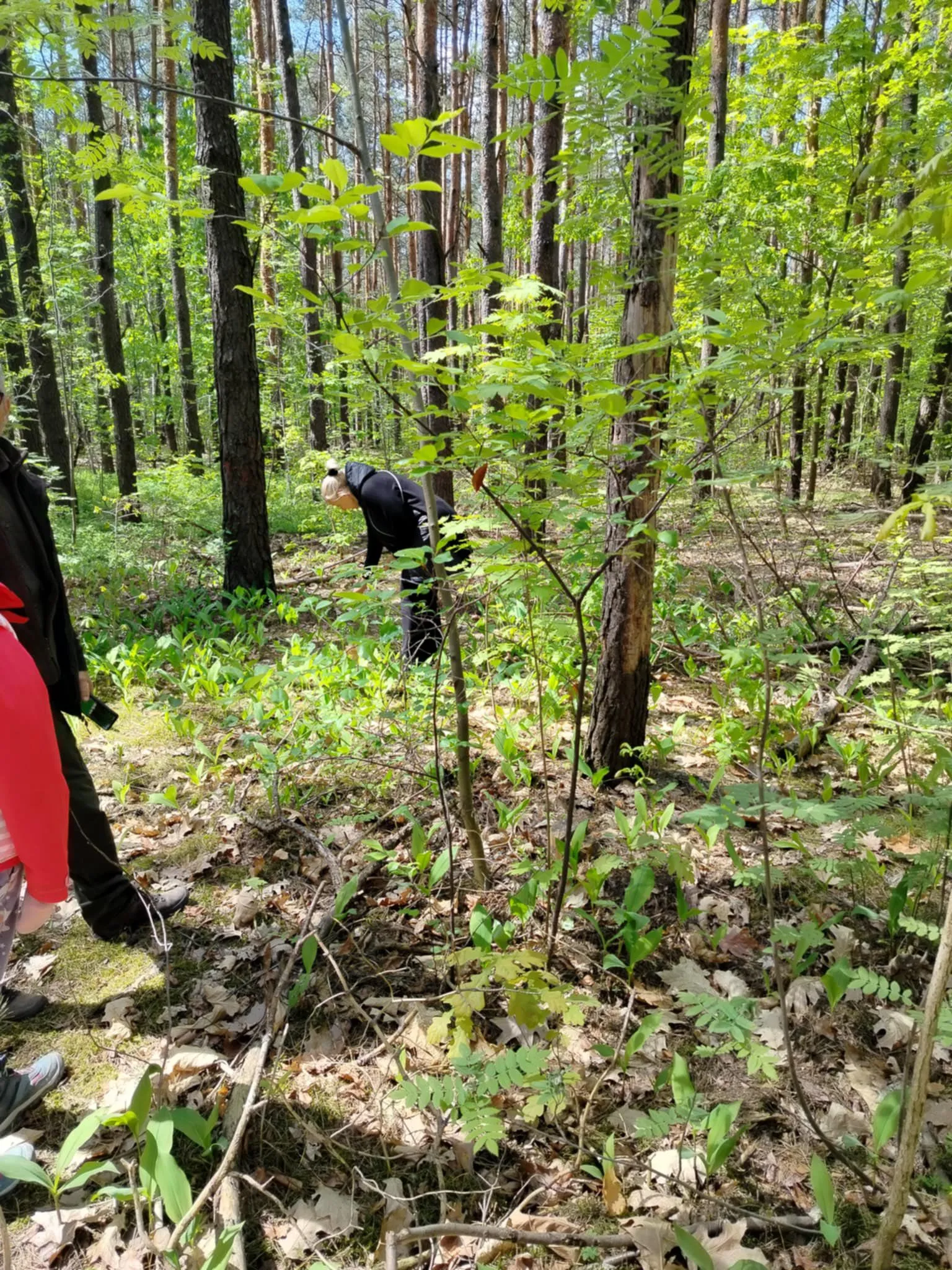 Spotkanie z panem leśniczym