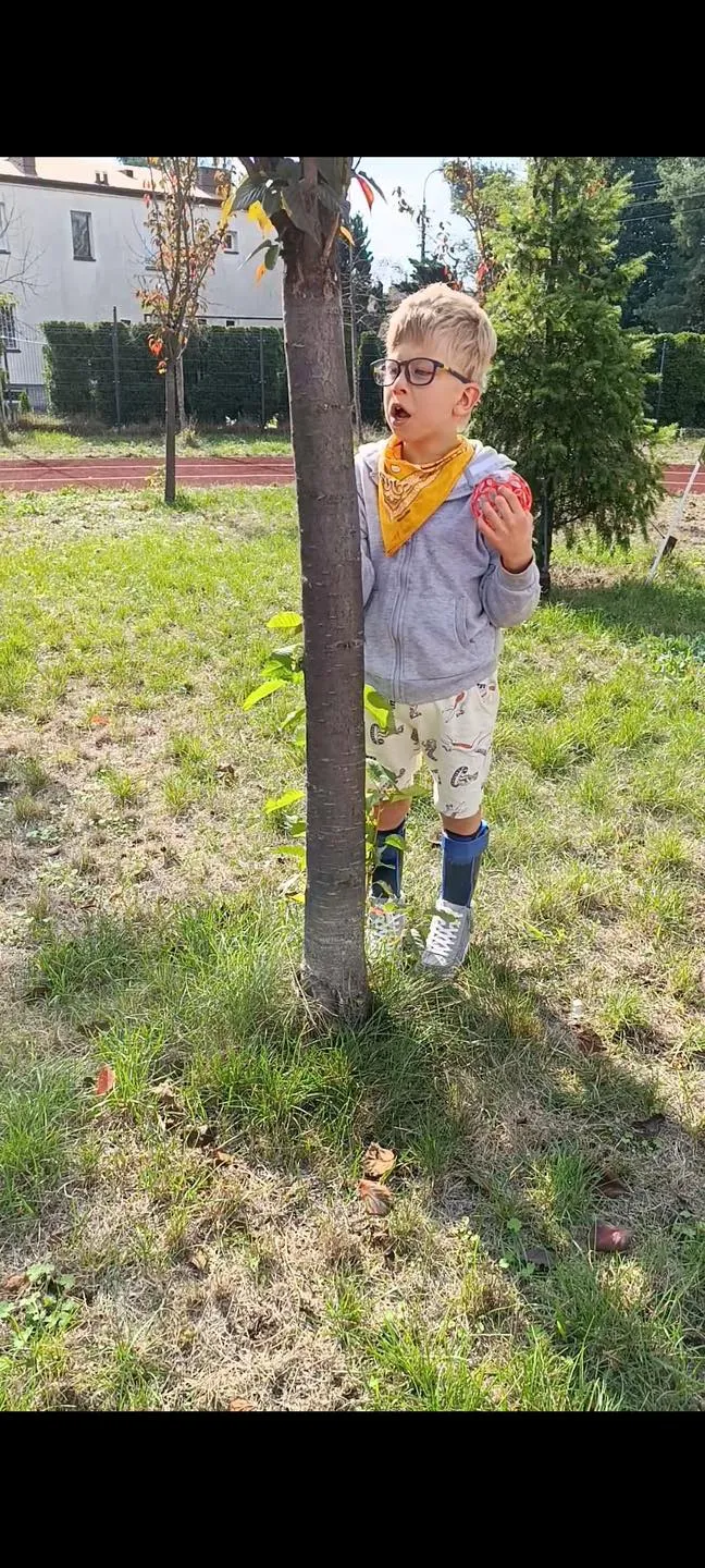 Przytul się do drzewa