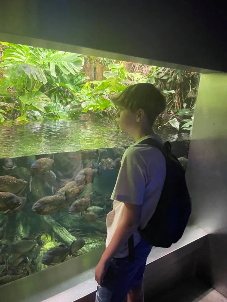 Wizyta w ogrodzie zoologicznym