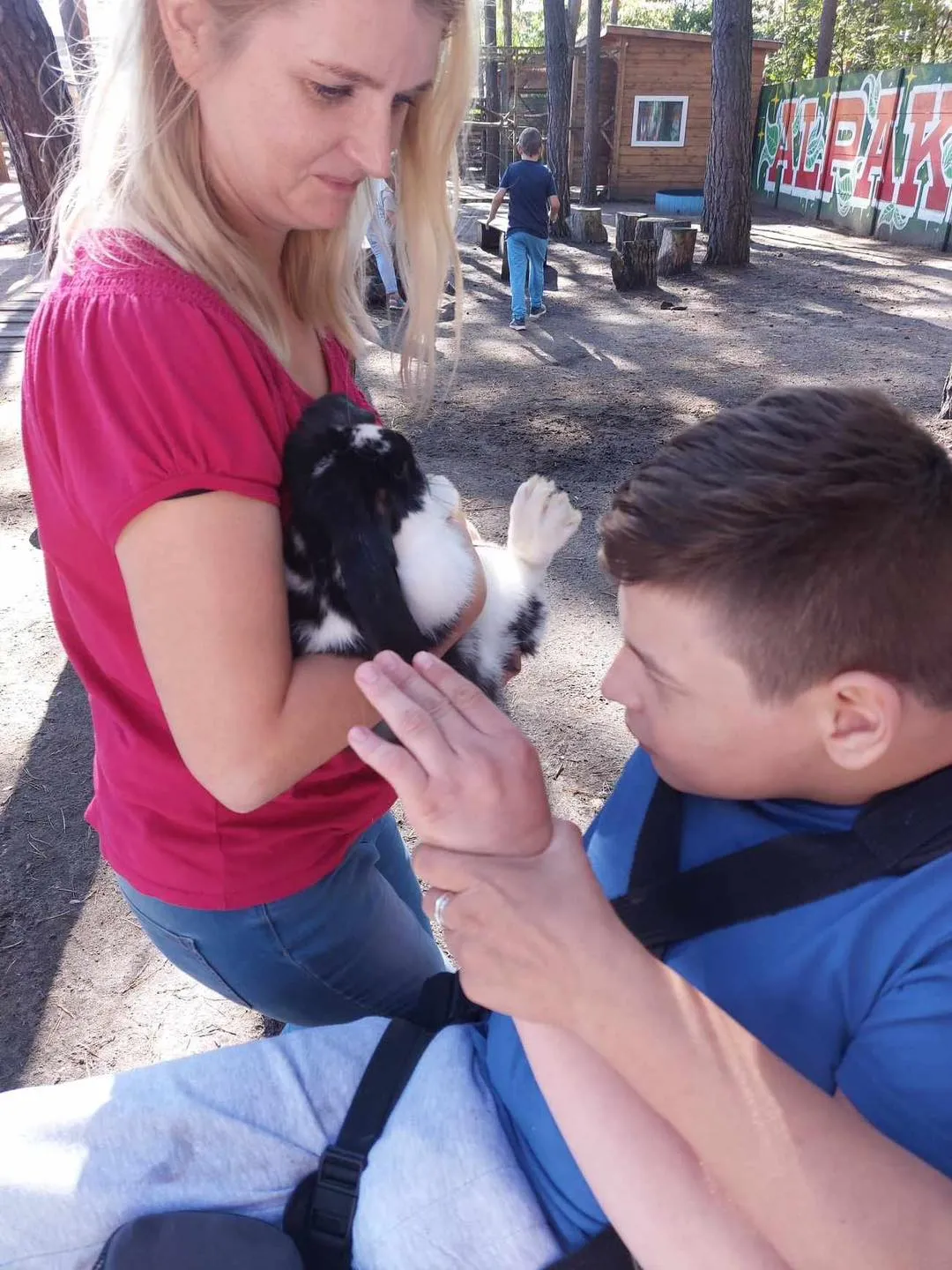 Spotkanie z alpakami