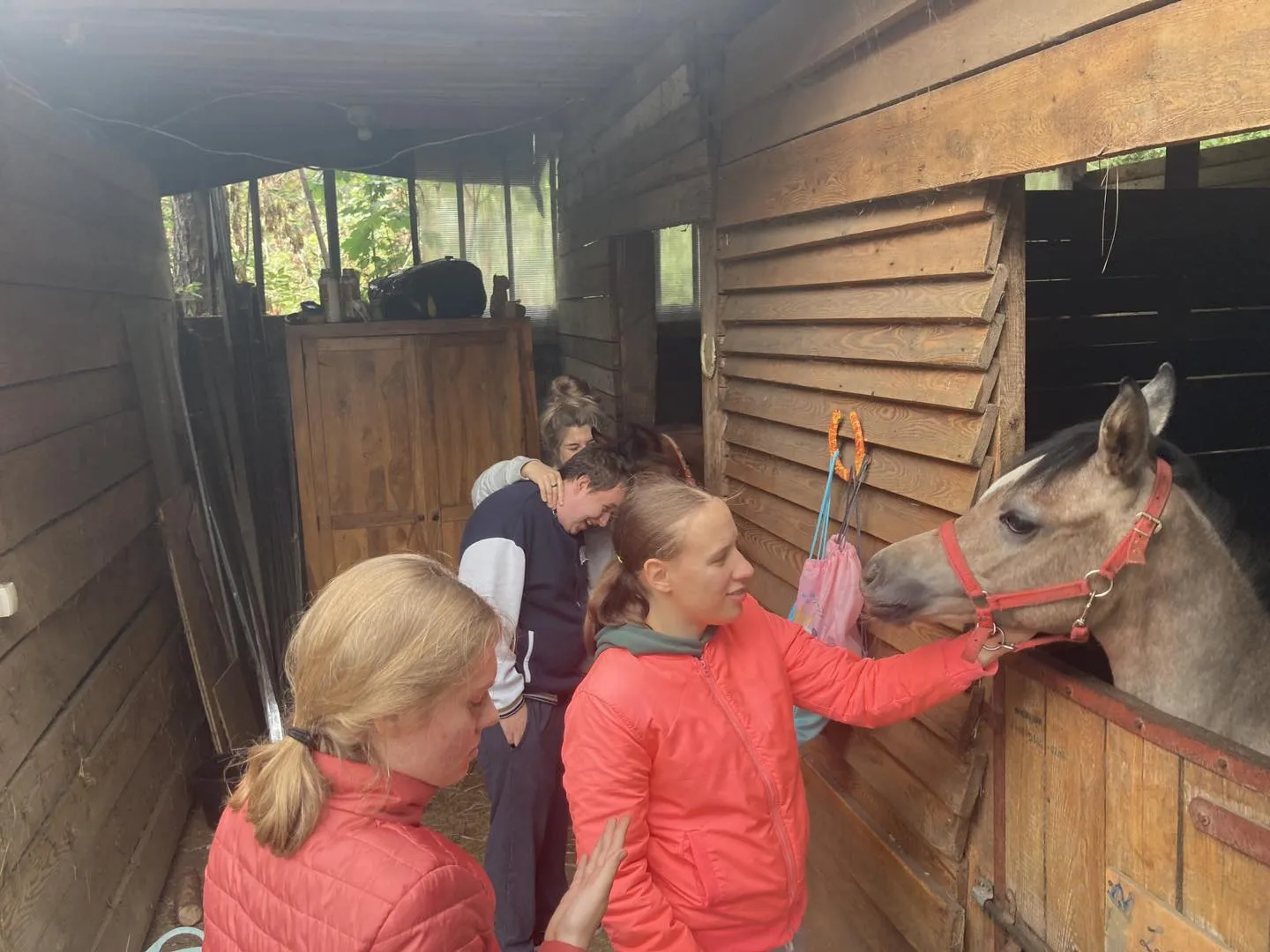 Wizyta w stajni Jackowo