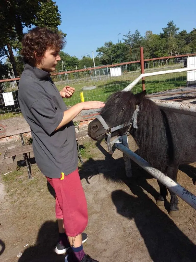 Wizyta w stajni i warsztaty plastyczne