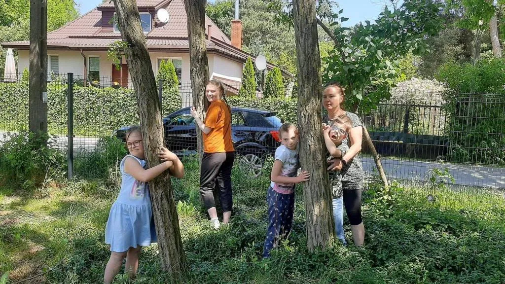 Akcja “Przytul się do drzewa” – kontynuacja