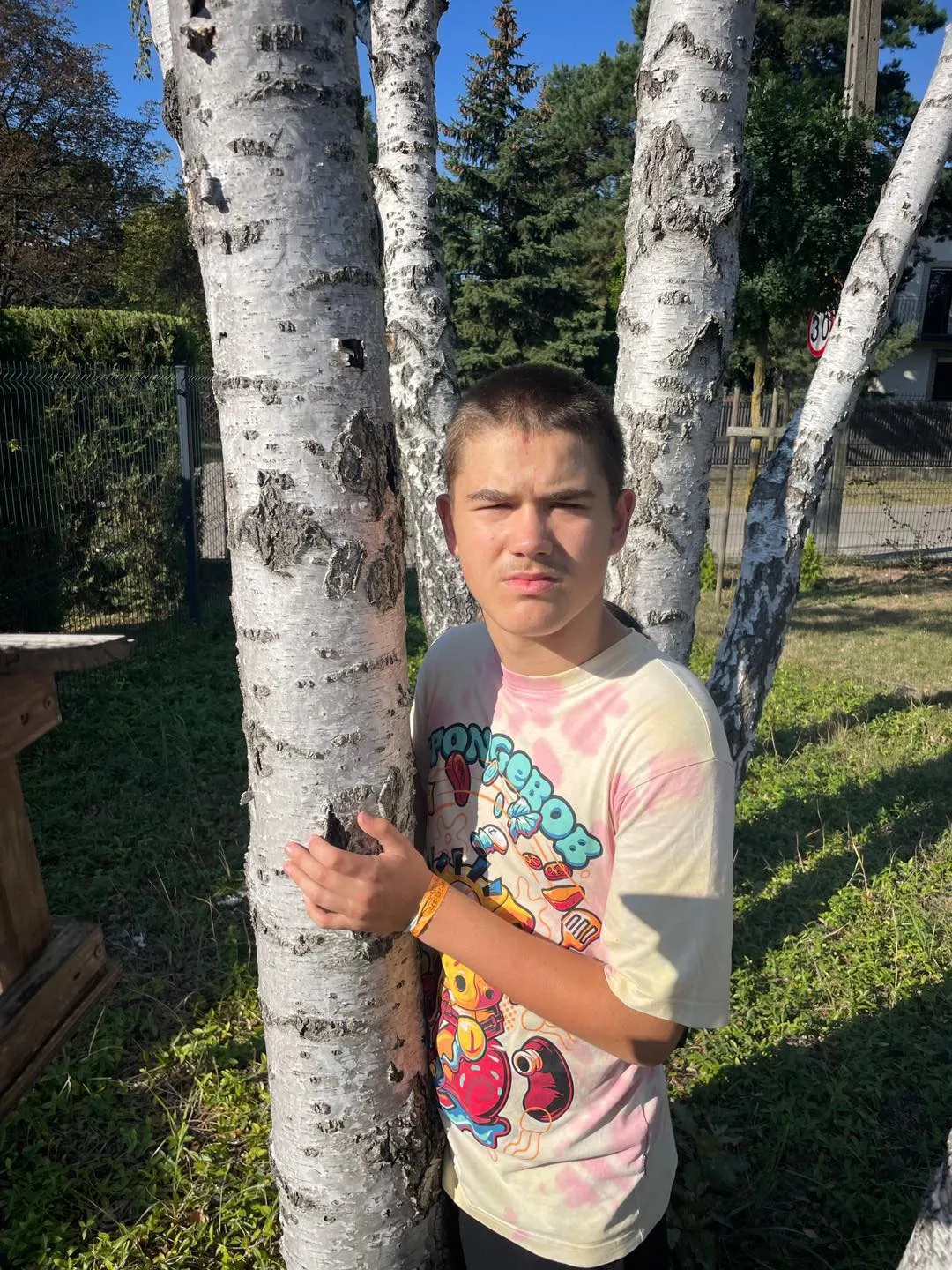 Przytul się do drzewa