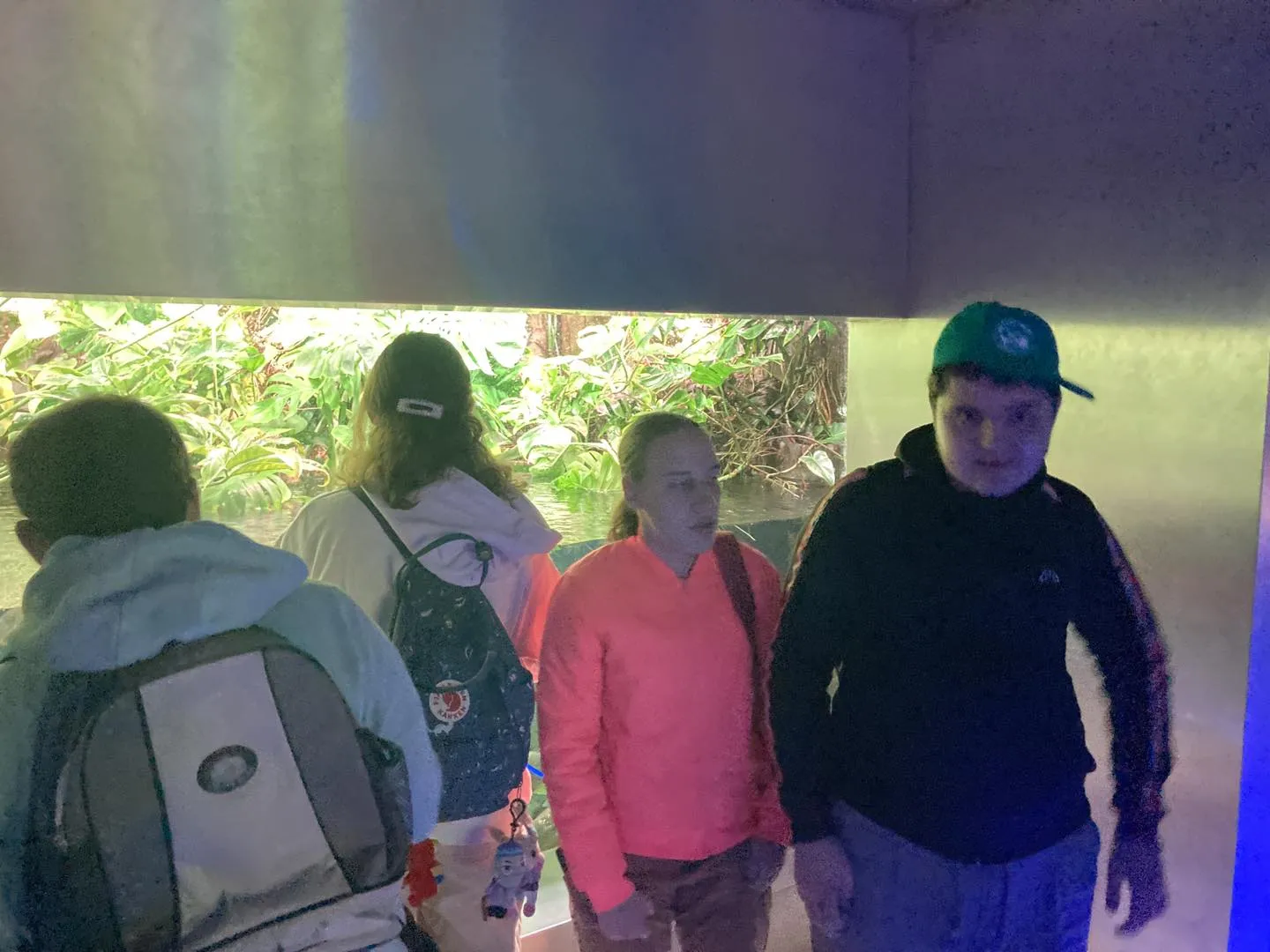 Wycieczka do ogrodu zoologicznego