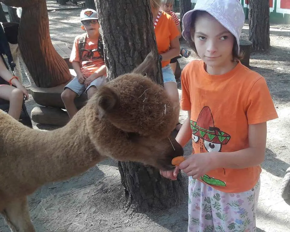 LATO W MIEŚCIE II – III DZIEŃ