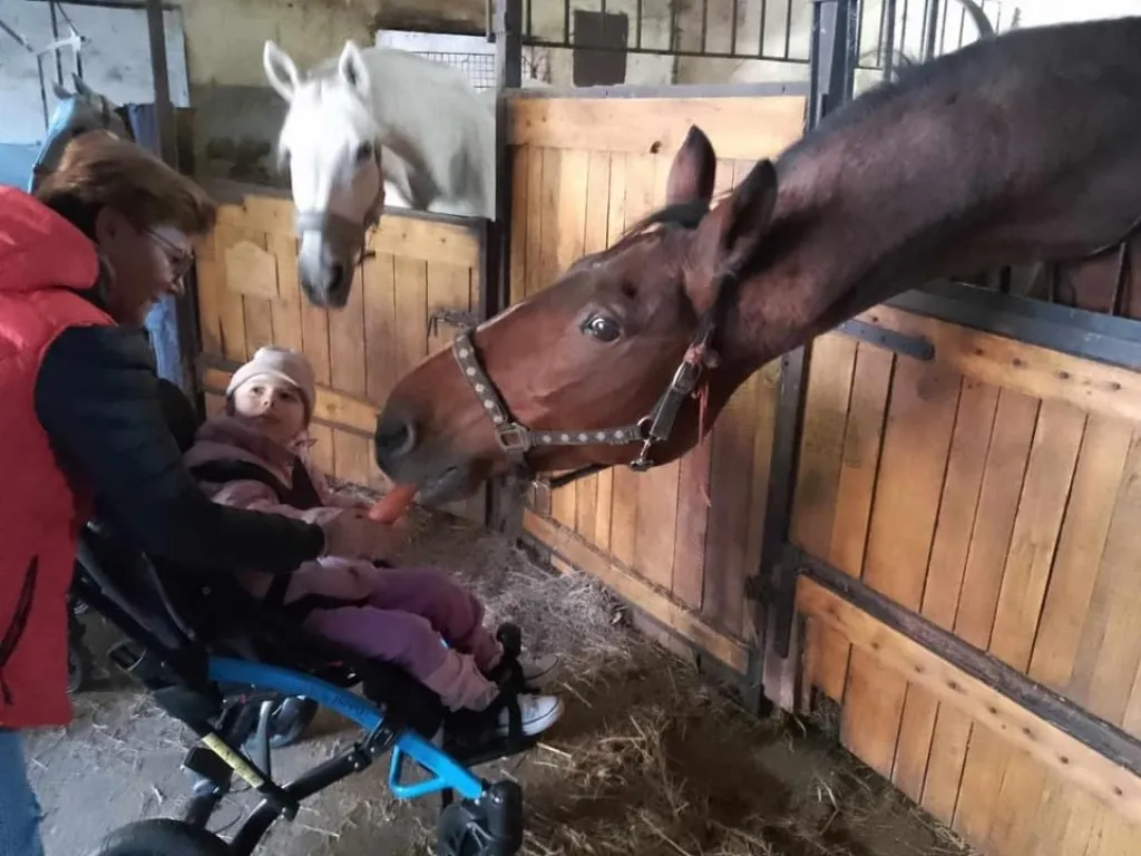 Wycieczka do stajni