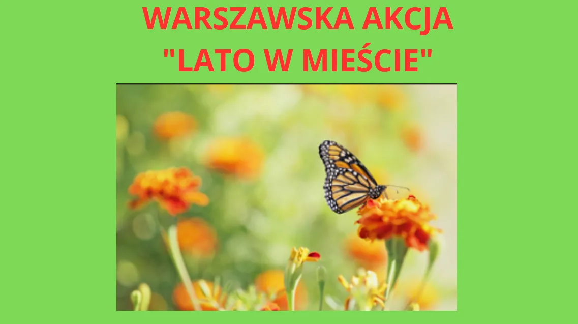 Lato w Mieście