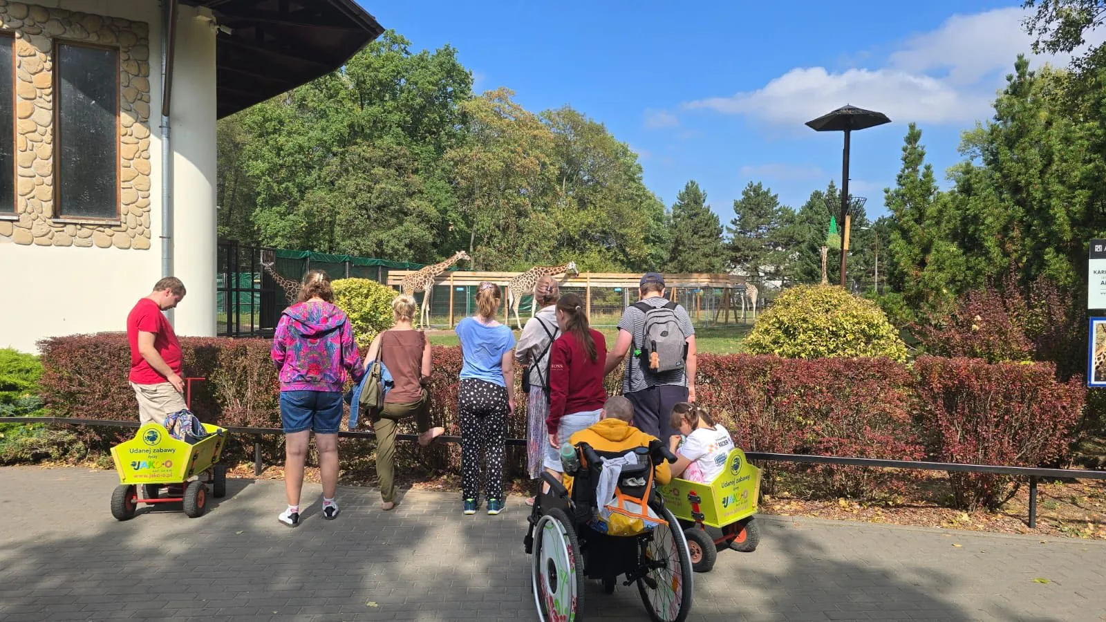 ZOO_2A_3A_Zespoly_08