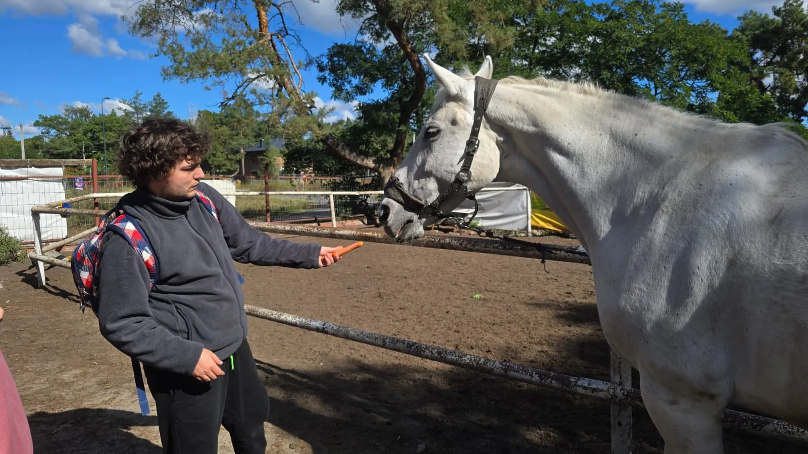 hipoterapia_IX_2025_01