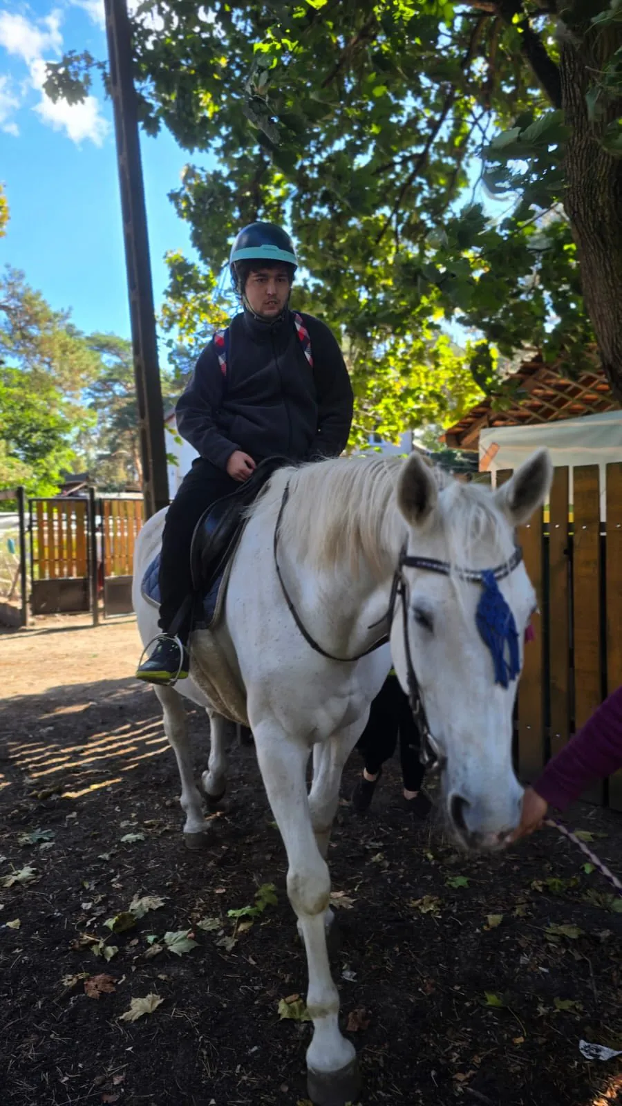 hipoterapia_IX_2025_03