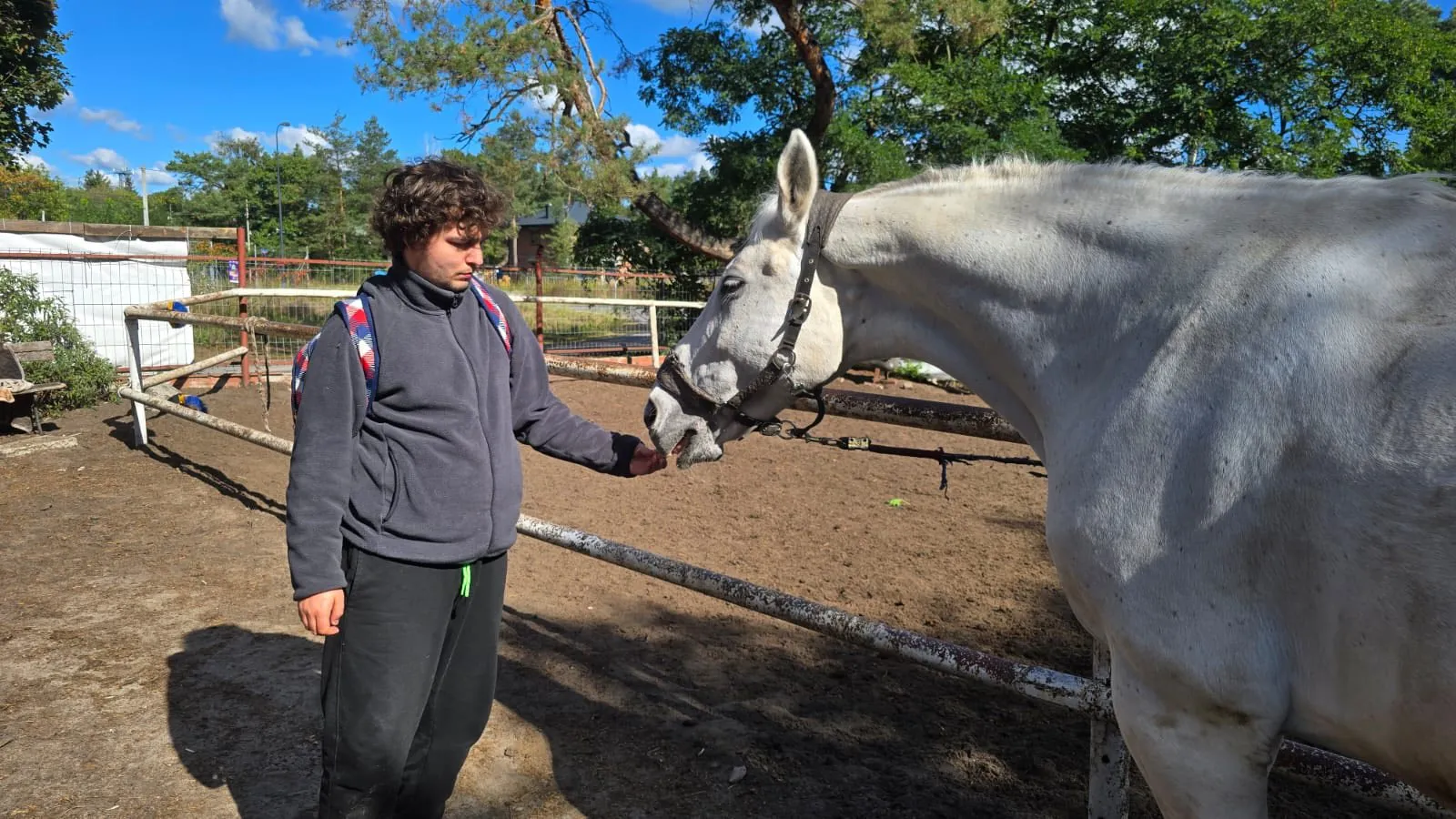 hipoterapia_IX_2025_06