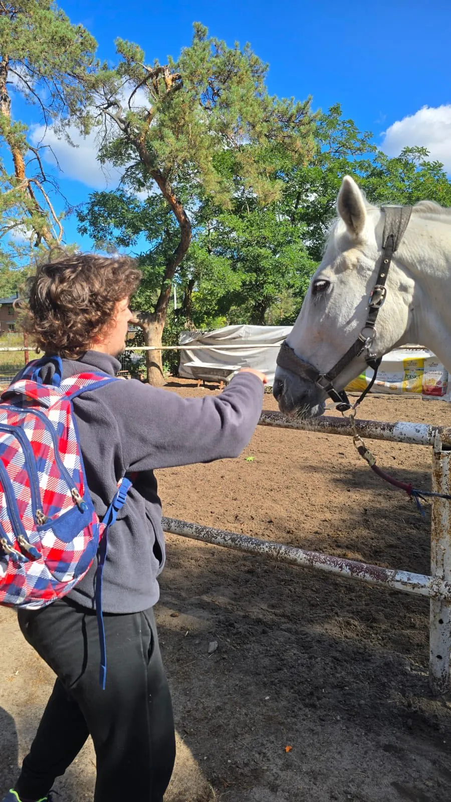 hipoterapia_IX_2025_09