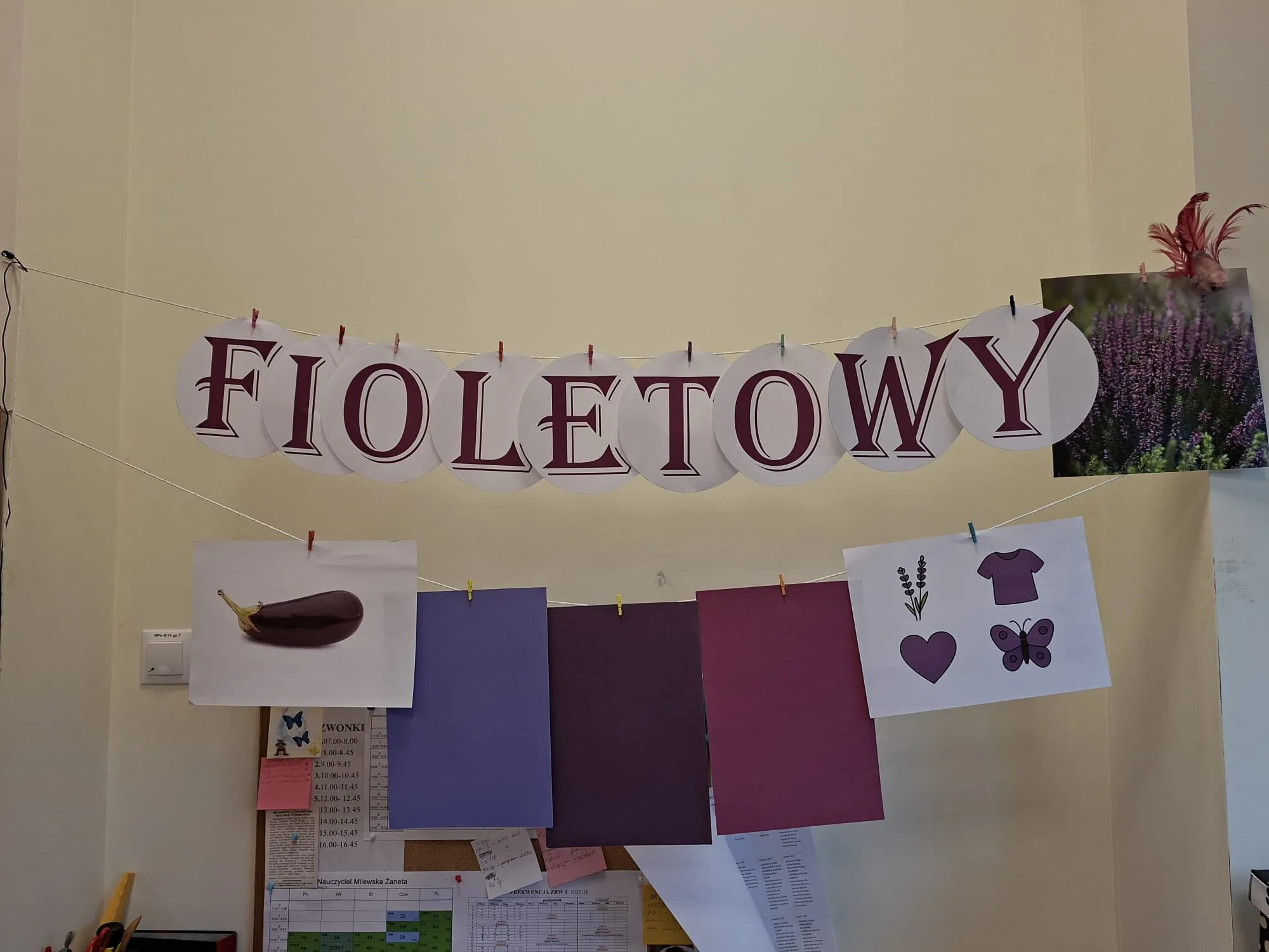 fioletowy_3b_PdP_3