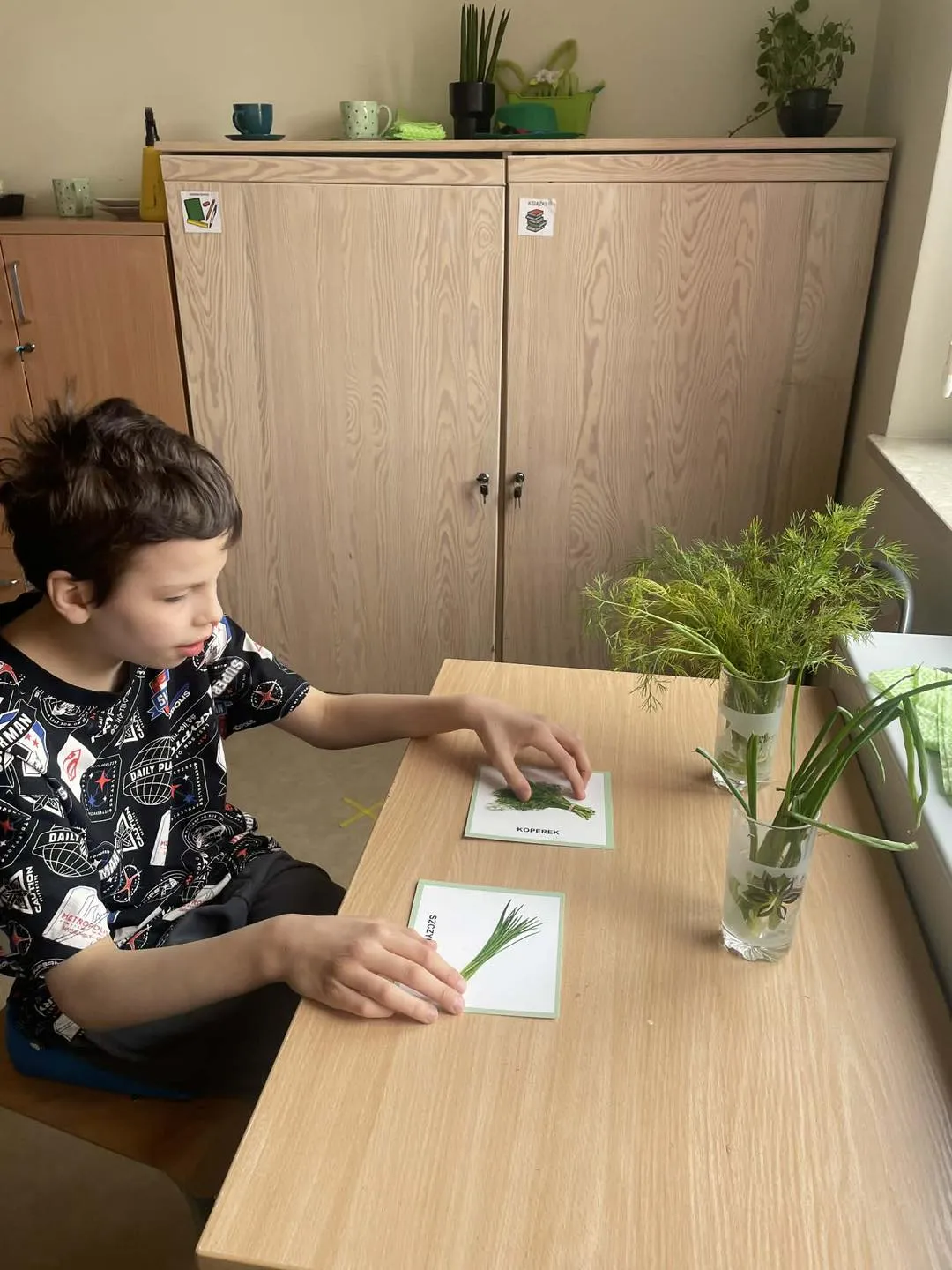Uczeń siedzi przy stole, na którym znajdują się: dwa zdjęcia pierwsze przedstawiające koperek a drugie szczypiorek i dwie szklanki w jednej umieszczony jest koperek w drugiej szklance koperek.  Uczeń dopasowuje zdjęcie do warzywa.